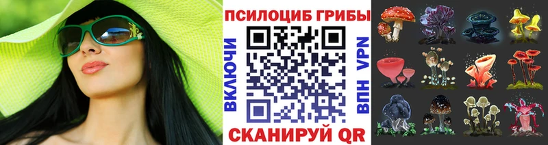 Купить где  Мелеуз  Галлюциногенные грибы Cubensis 